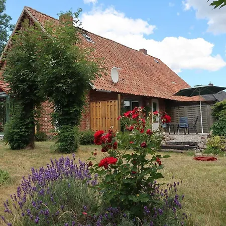 Kleine Flucht Nossentin 別荘 Nossentiner Hütte